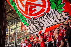 HFC13