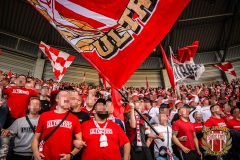 HFC19