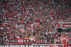 BVBAmas5,5
