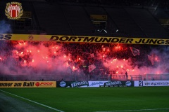 BVB17