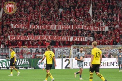 BVB5