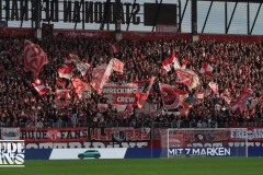 11.Spiel - Viktoria Köln (H) - 1:0