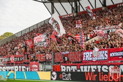 Zwickau6