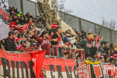 Halle15