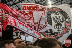 Halle16