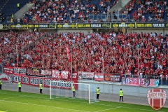 Homberg13