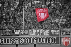 Homberg19