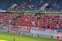 Homberg4