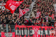BVB15