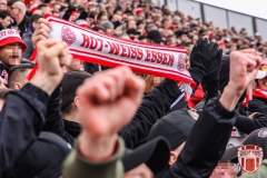 BVB17