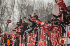 SCF6