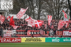 bvb5