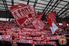 Ulm13