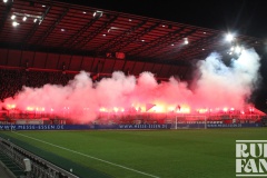 27. Spiel Mannheim (H) 1:0