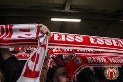 Verl13