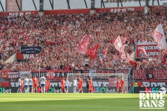Arminia1
