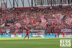 Arminia3