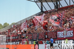 Arminia5