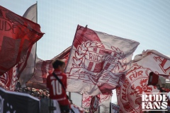Arminia6