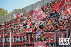 Arminia7