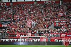 KölnAmas7
