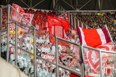 Dynamo11