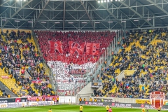 Dynamo14