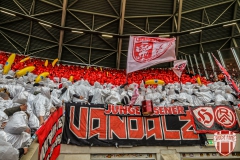 Dynamo15