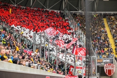 Dynamo17