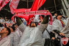 Dynamo7