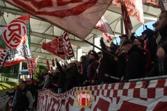 FCS3