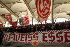 FCS6