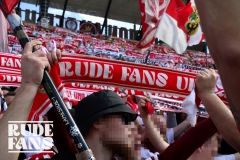 FCS10