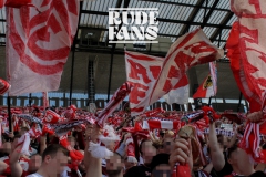 FCS11