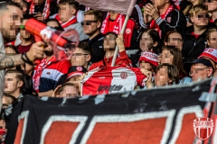 Halle7