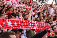 Dynamo15