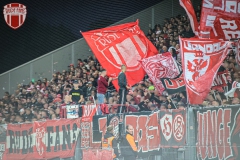 FCS13