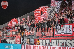 FCS17